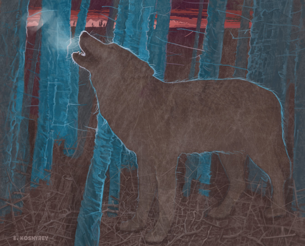 Blue forest