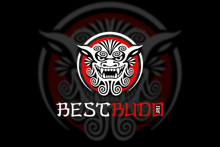 Логотип для онлайн-магазина BestBudo.ru