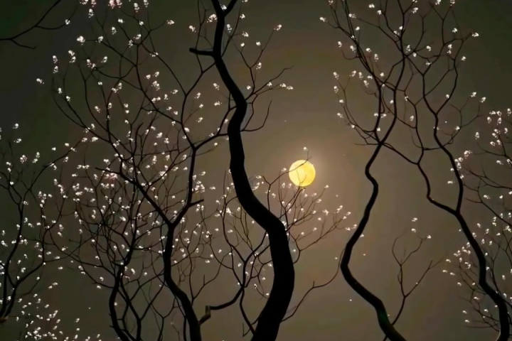 Блок "Милый друг"