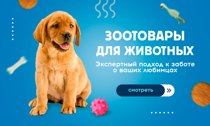 Баннер для зоомагазина