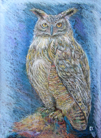 Сова