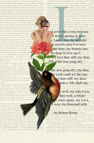 Luve's like a red, red rose