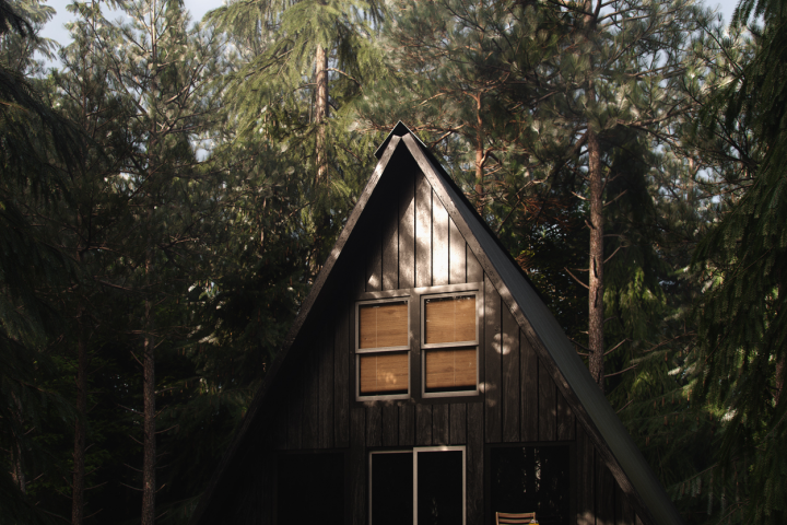 Визуализация для рекламы каркасных домов