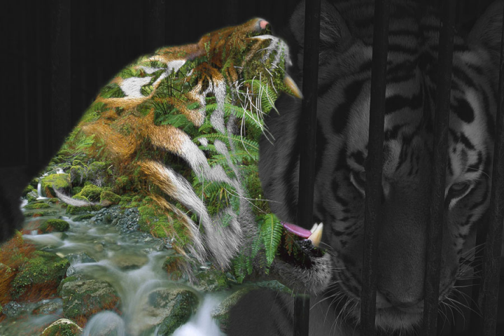 Работа 3723694