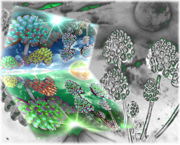 Работа 3723657