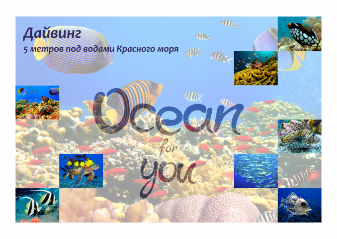 Баннер