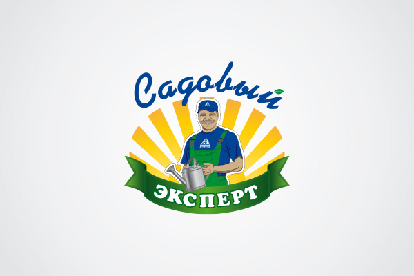 Работа 3142180