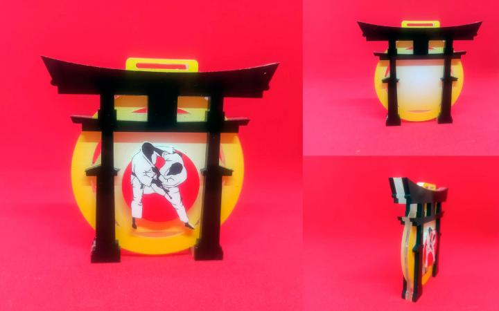 Медаль "Дзюдо"