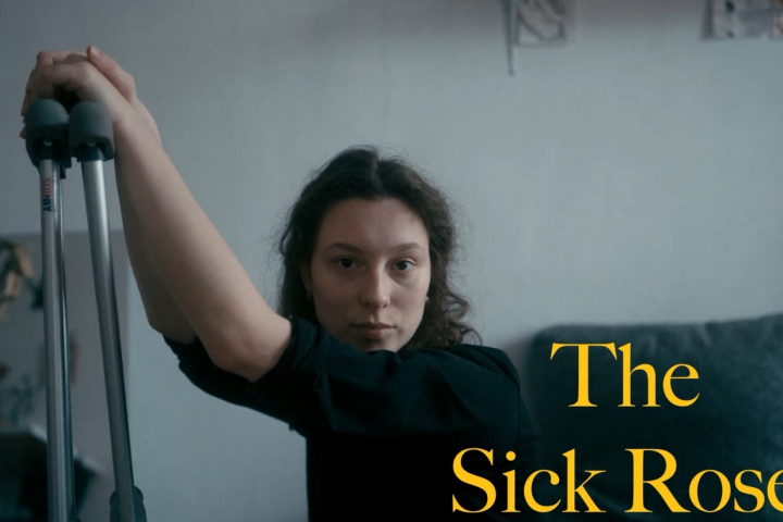 Написание оркестрового сопровождения к видеоролику - Rose