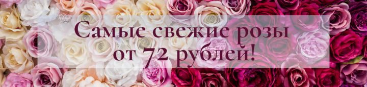 Баннер на сайт