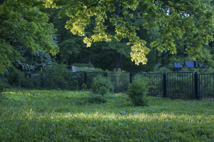 Последний луч