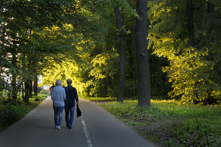 Летний закат