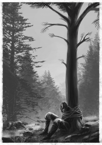 Иллюстрация к книге Д. Фостера "На разных берегах"