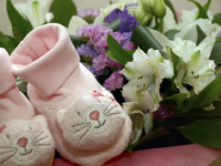 Работа 2251793