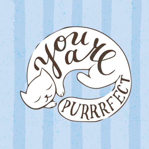 Открытка You are purrrfect
