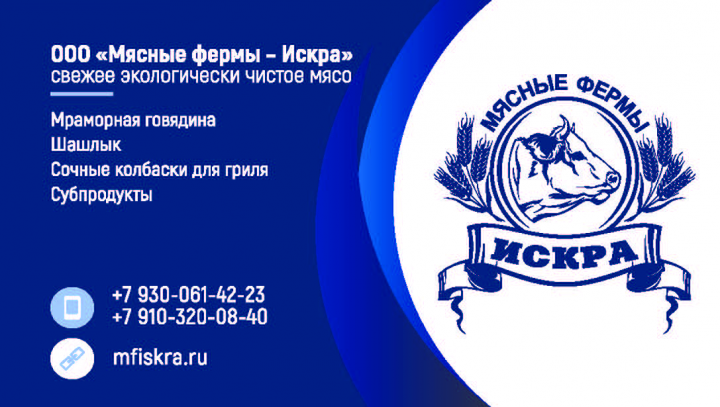 Визитка Искра