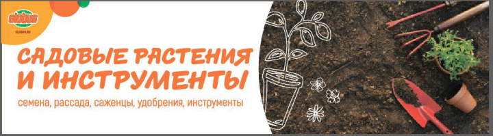 Работа 3679303