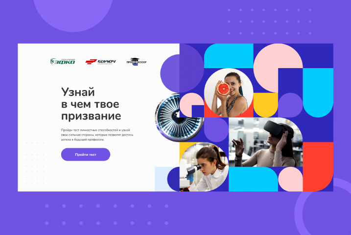 О программе "Профессор"