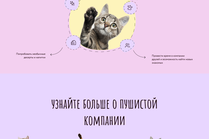 Landing page / Лендинг
