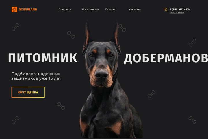 Первый экран сайта