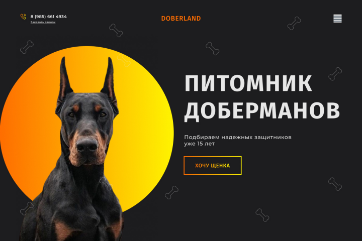 Первый экран сайта