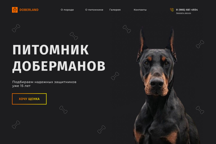 Первый экран сайта