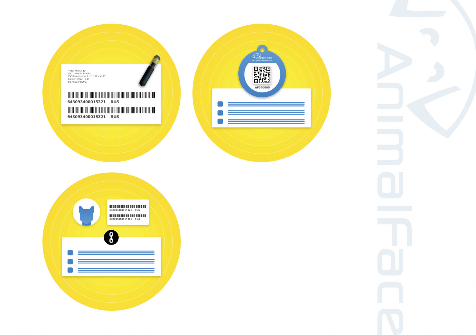 pic4580367.jpg