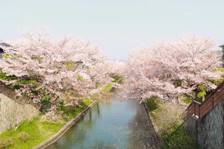 Проект видеомонтажа - Japan (Япония)