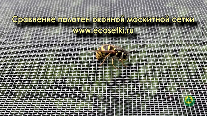 Реклама и блог для компании москитных сеток