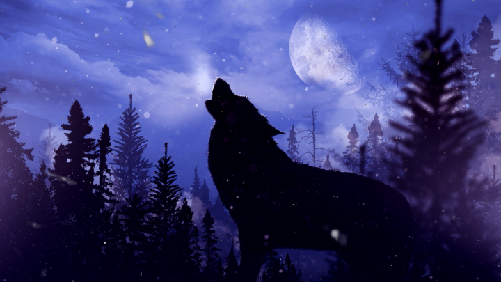 Презентационный ролик для серии книг московской писательницы