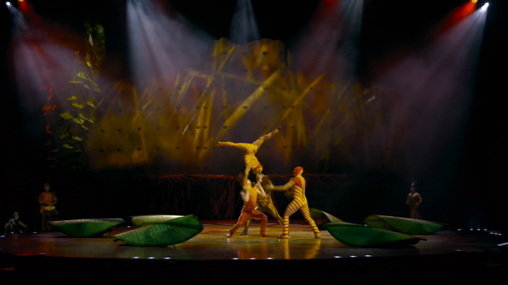 Невероятное шоу цирка CIRQUE DU SOLEIL