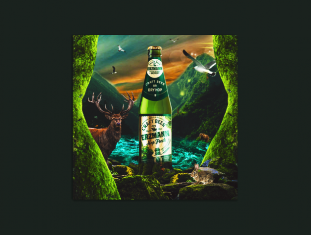 Баннер «Пиво»