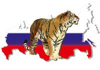 Работа 2148737