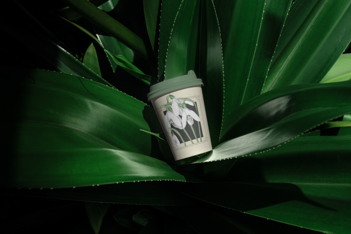 стакан с подснежниками