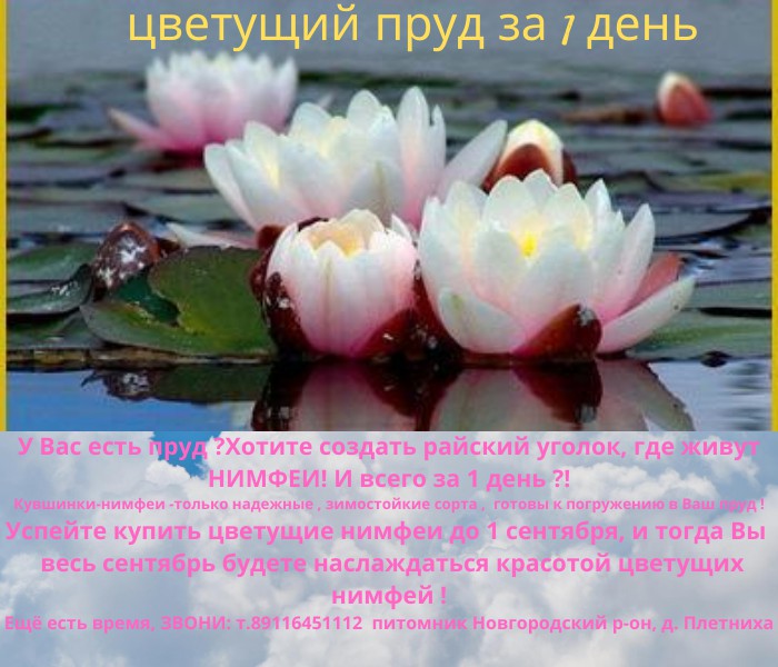 pic3982785.jpg
