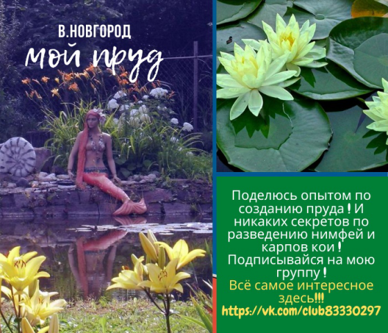 моя работа