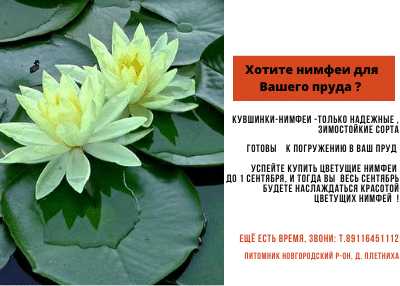 Работа 3982804