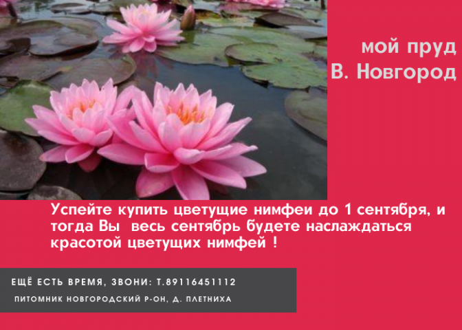 Работа 3982765