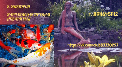 Работа 3982808