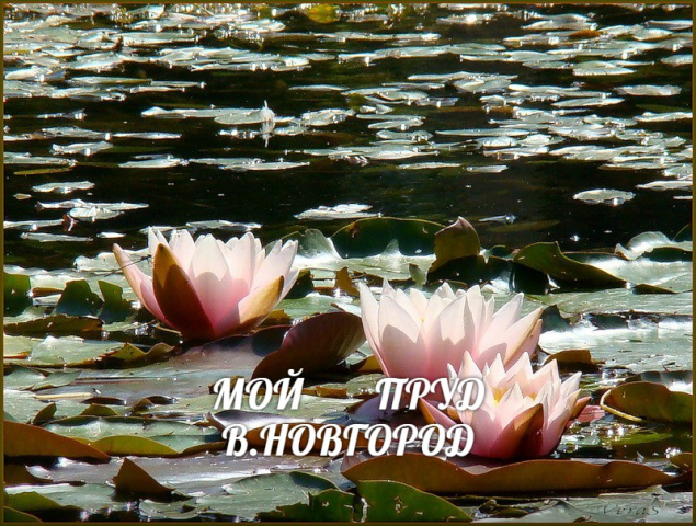 Работа 3982781