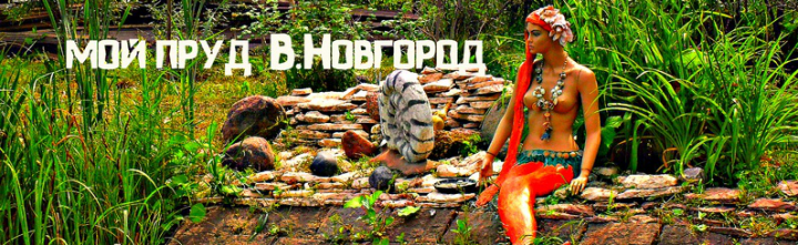 Работа 3982775