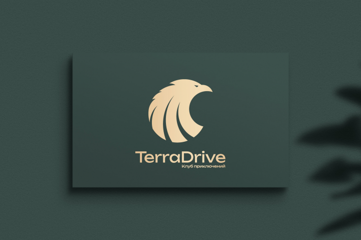 Логотип для TerraDrive