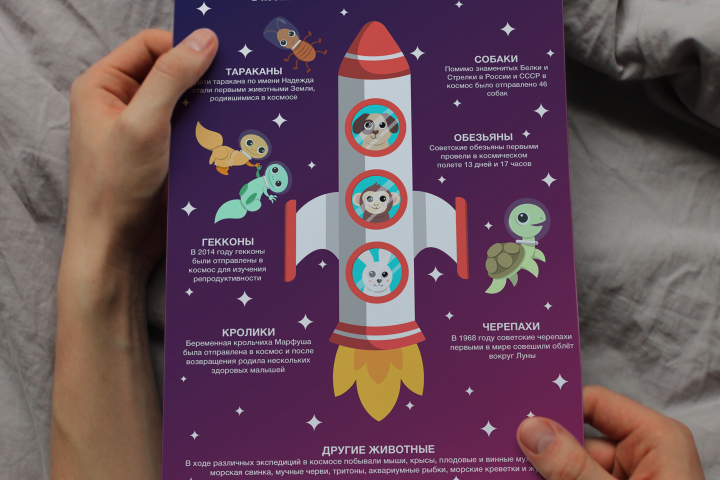 Детская инфографика "Животные-космонавты"