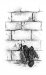 иллюстрация к книге стихов