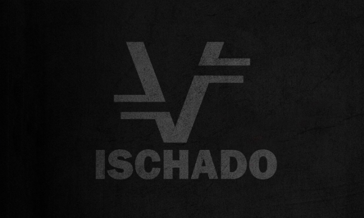 Собственный лого