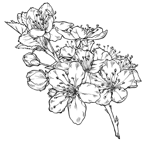 Работа 3770885