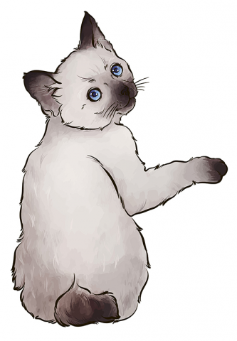Кitten