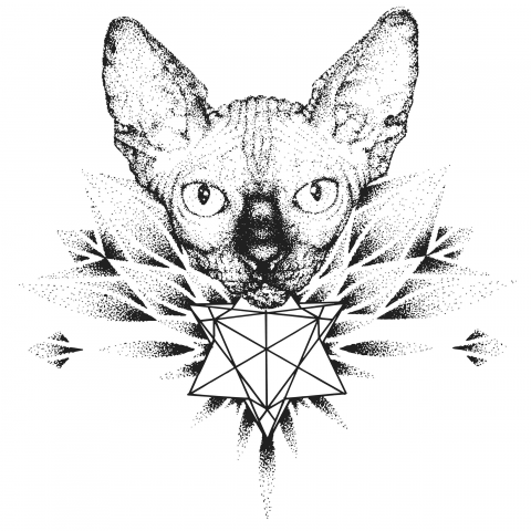 Sketch of tattoo