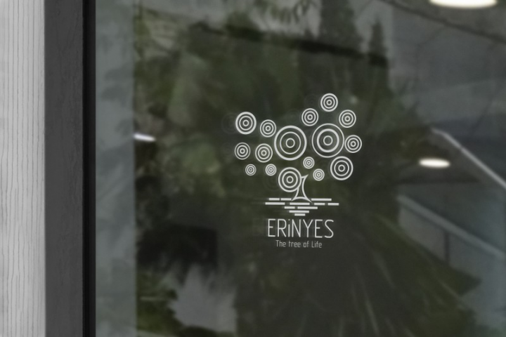 ERiNYES