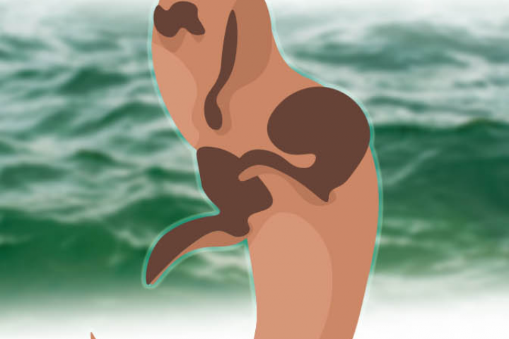 Japanese otter